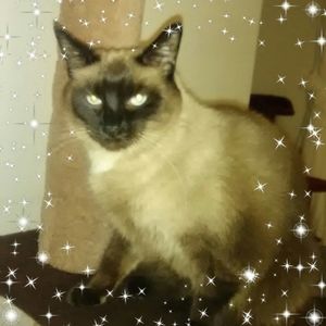 Meet your Posher, Ellen